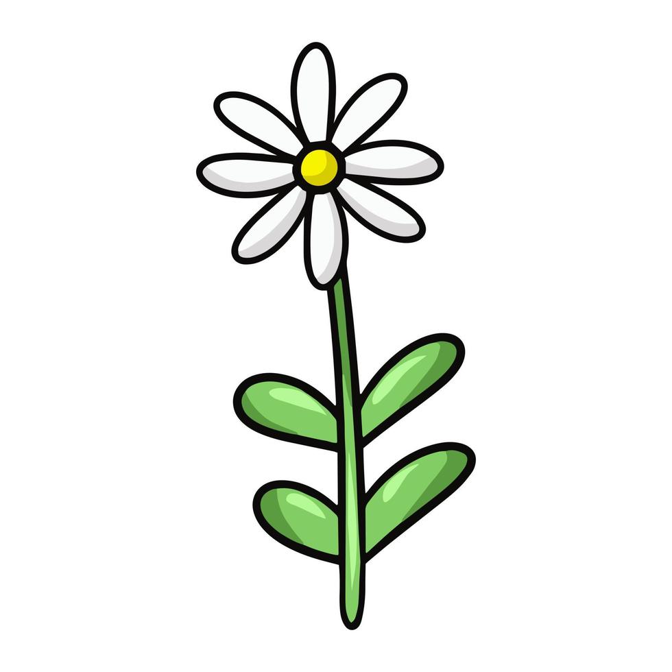 una flor de margarita con hojas verdes, ilustración vectorial en estilo de  dibujos animados sobre un fondo blanco 14173292 Vector en Vecteezy