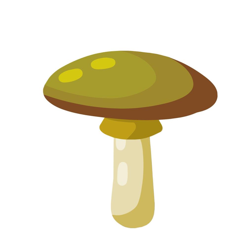 Boletus edulis. Mushroom with a brown cap. Natural product from the forest. Eco-friendly food. Flat cartoon illustration vector