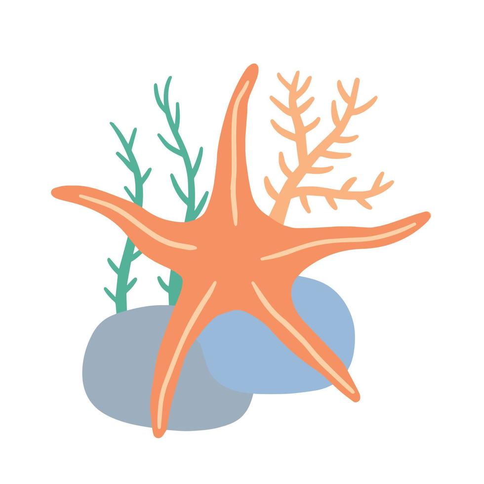 Starfish on seabed with rocks and algae. vector