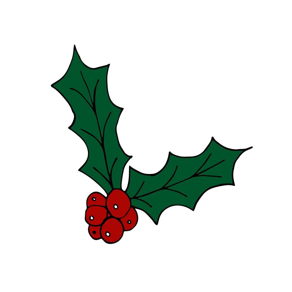 Mistletoe vector doodle clip art. Isolated on white background.