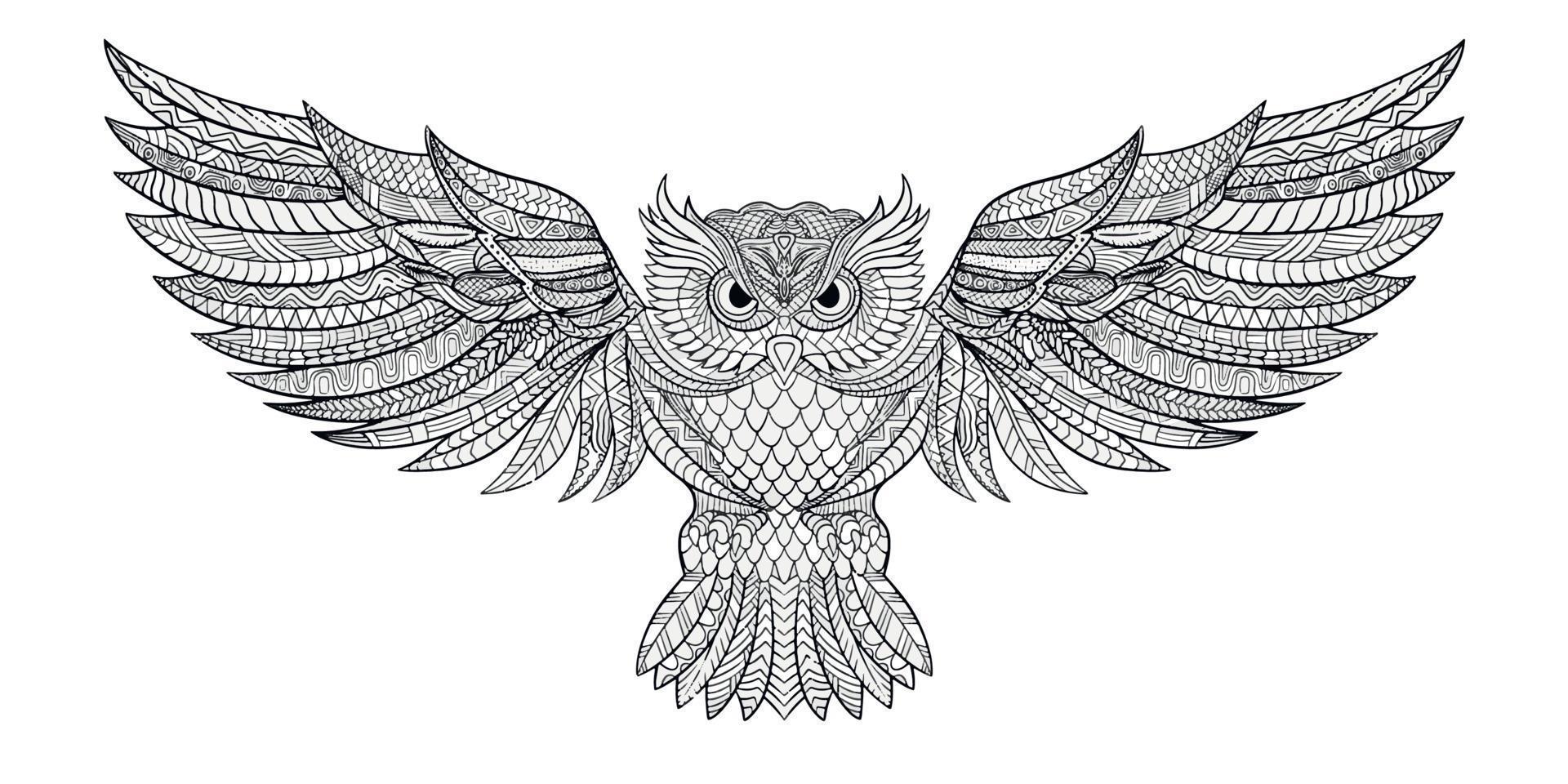 Illustration of owl vector