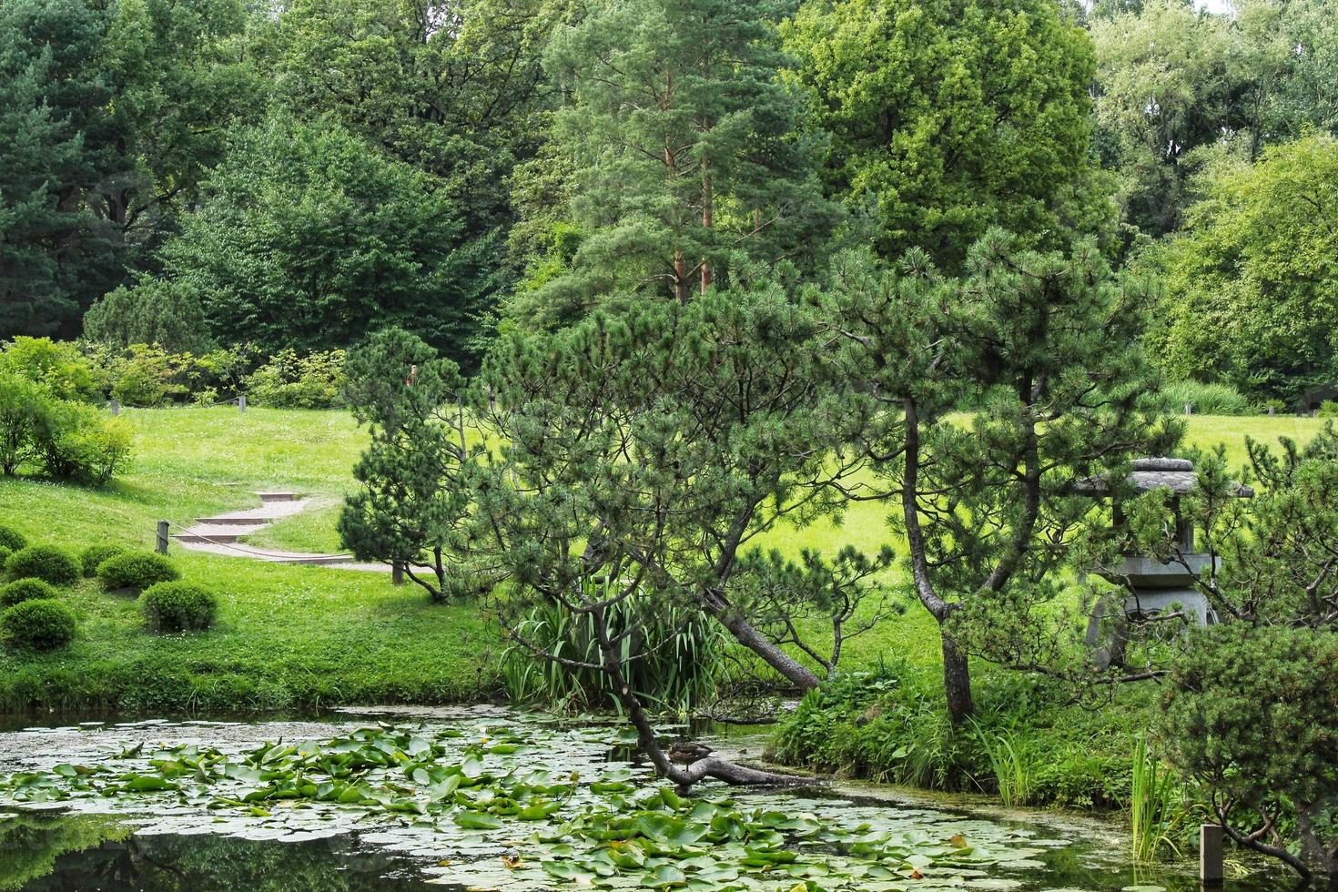 Beautiful landscape view in Japanese traditional botanical decorative garden. Calm nature scene of green summer lake pond water and pagoda lantern. Zen, meditation, harmony concept photo