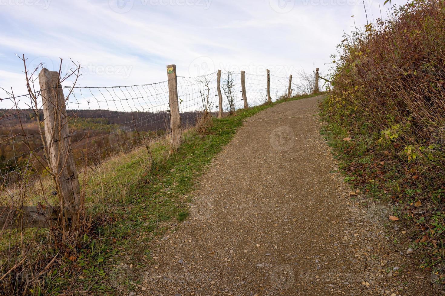 path in the field to the sky photo