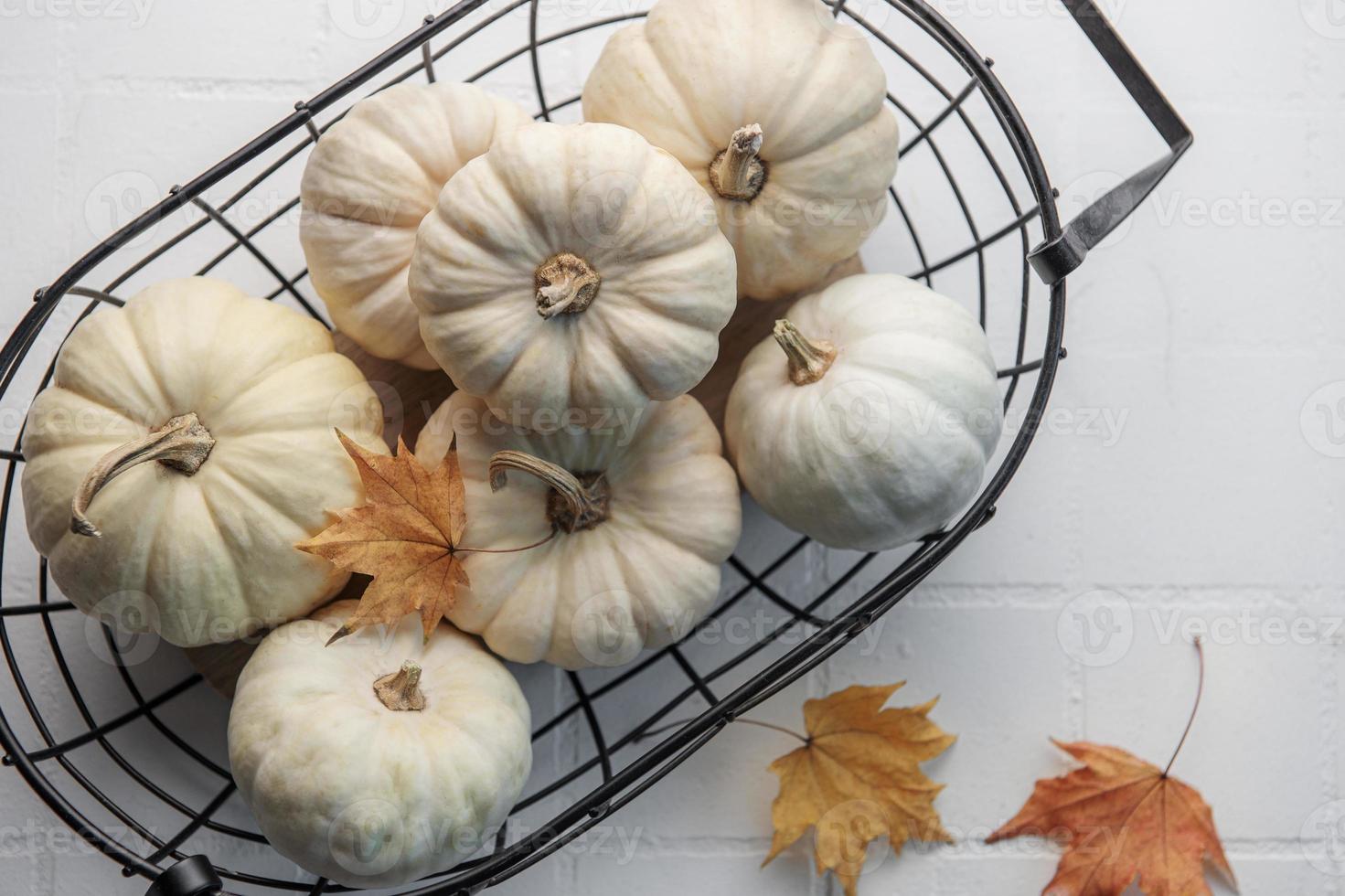 White pumpkins and autumn leaves photo