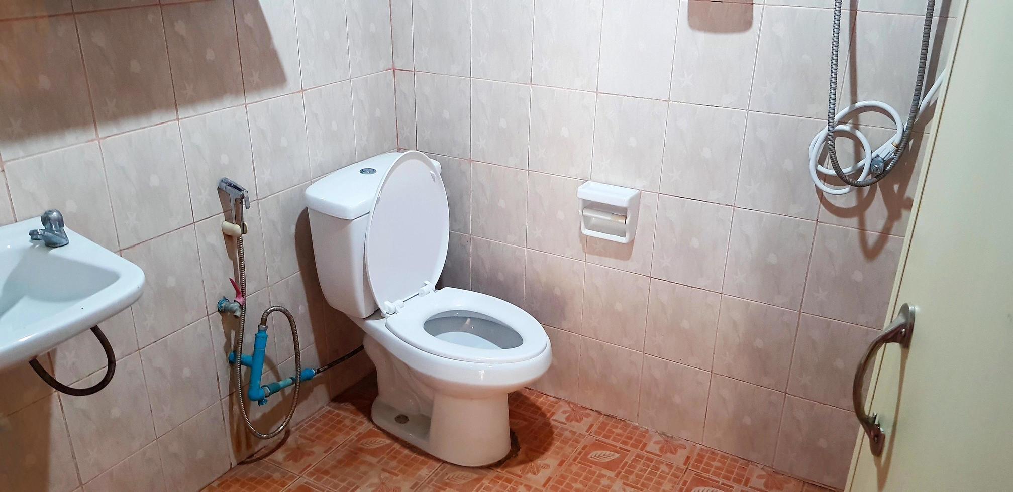 Bathroom, toilet, water closet, restroom or washroom with white basin, wash basin, washboard, flush toilet. Interior and group of object. photo