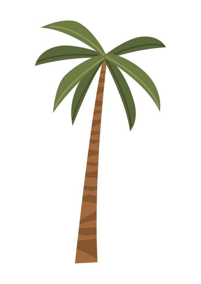 palm tree plant forest vector