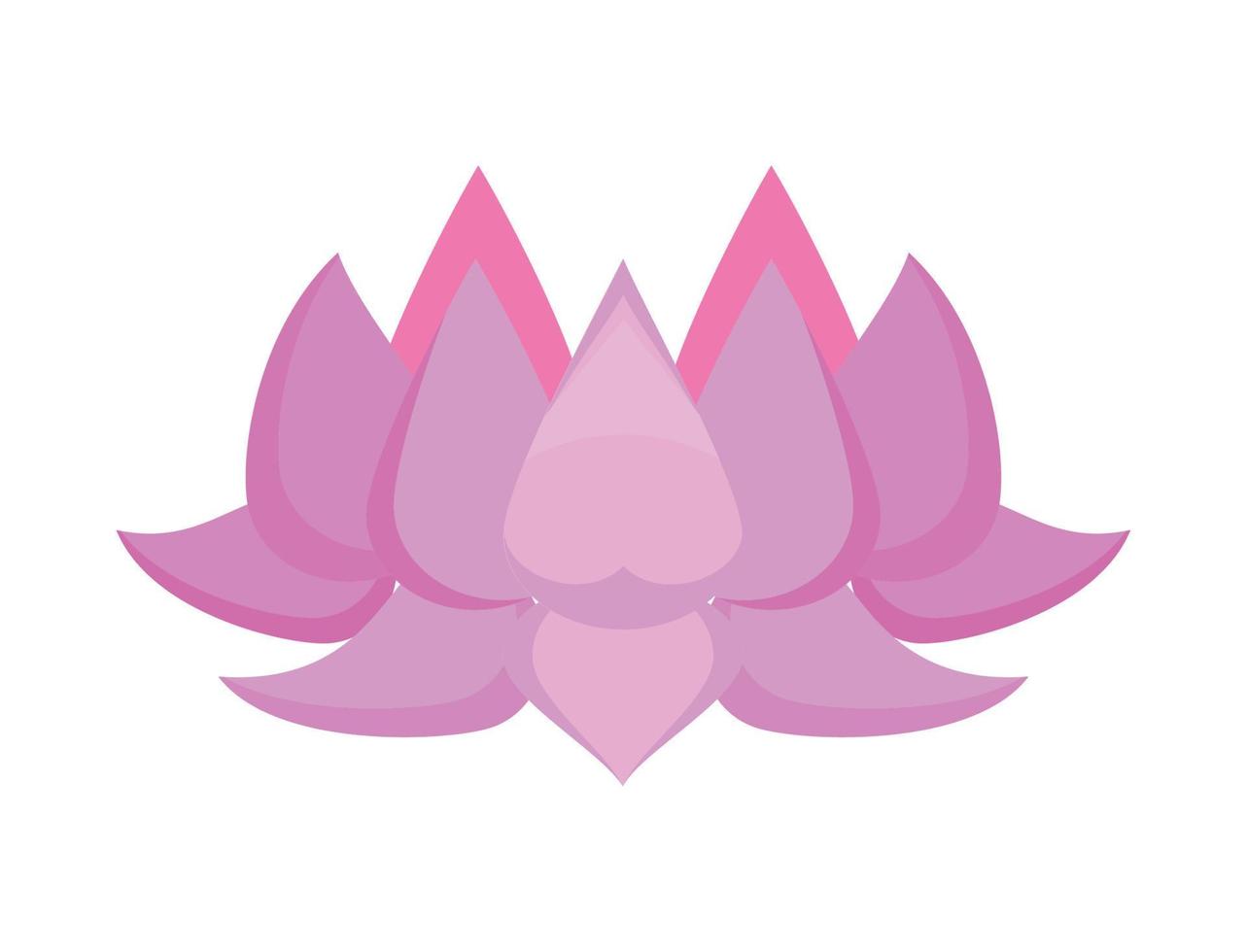 lilac lotus flower decoration vector