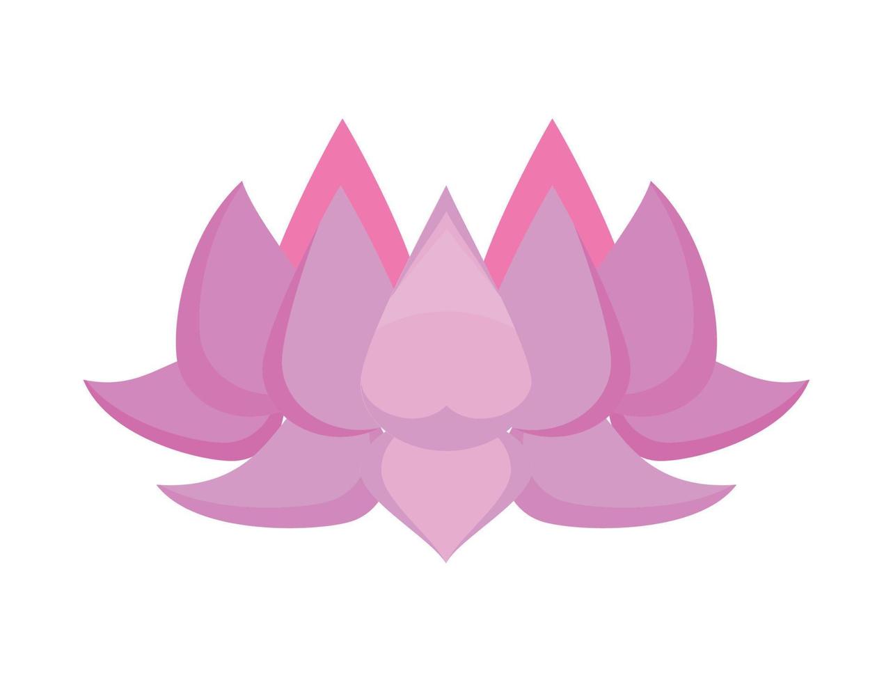 lilac lotus flower decoration vector