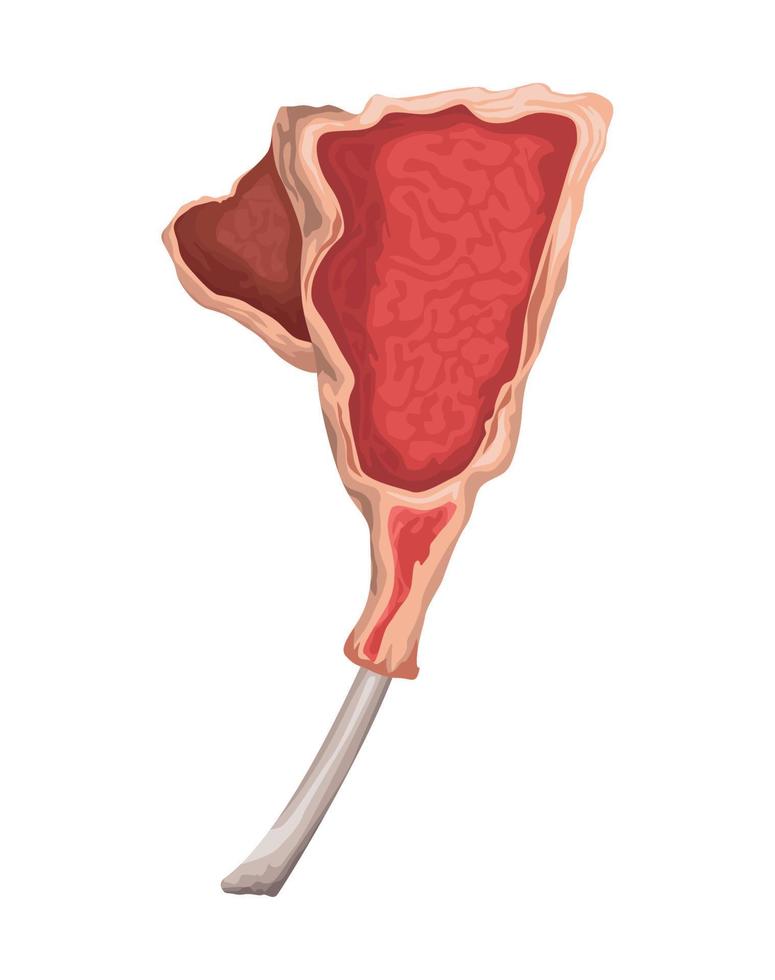 corte de carne tomahawk vector