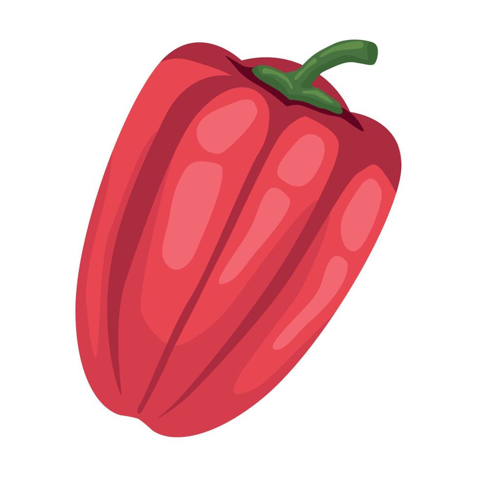 fresh pepper vegetable vector