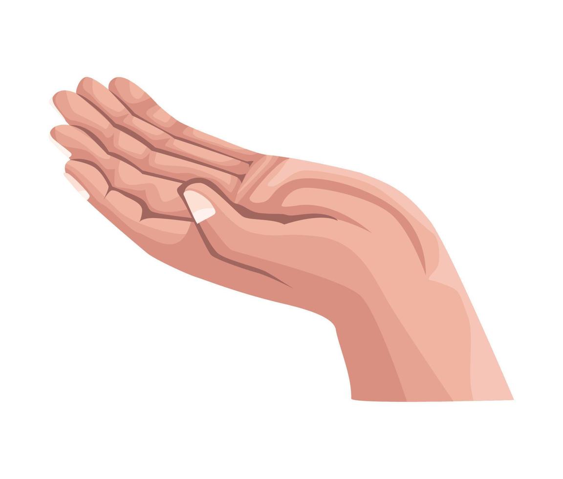 hand human receiving pose vector