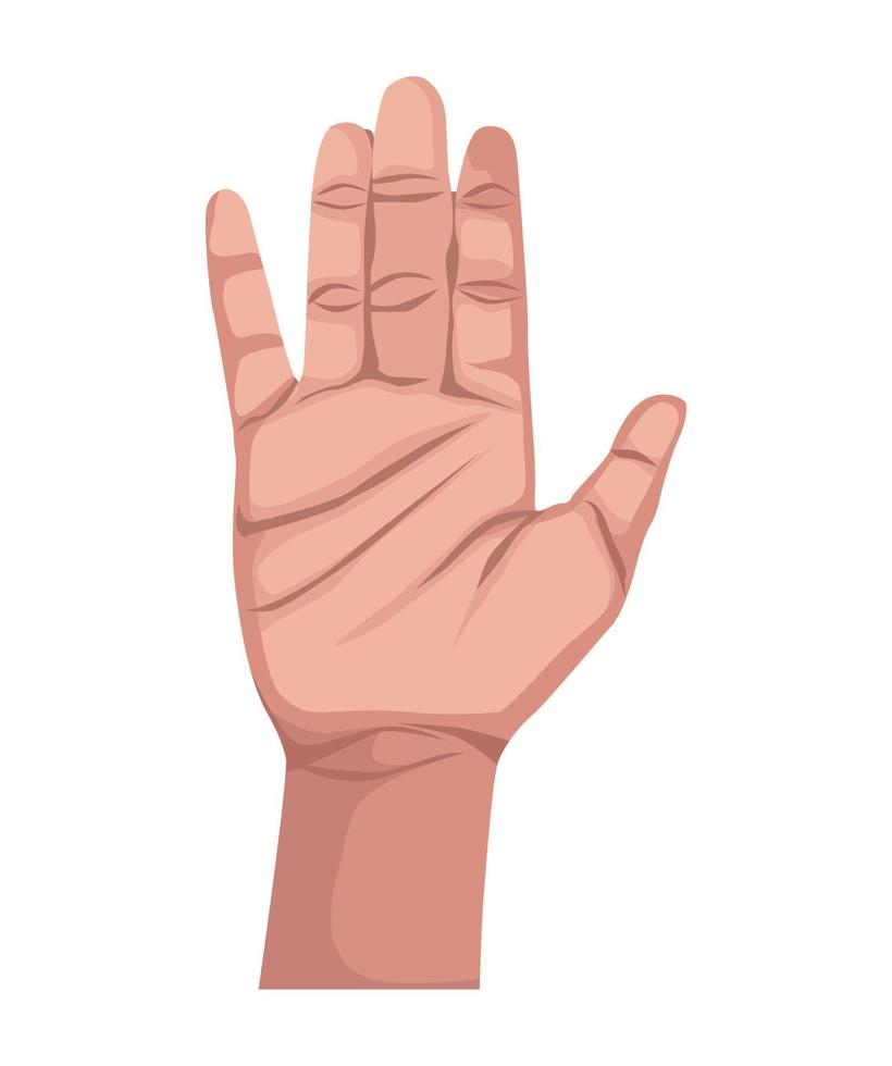 hand human stop vector