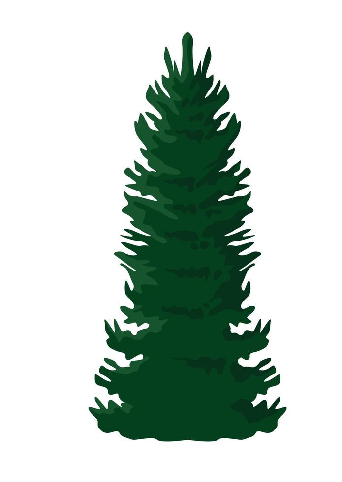 pine tree plant forest vector