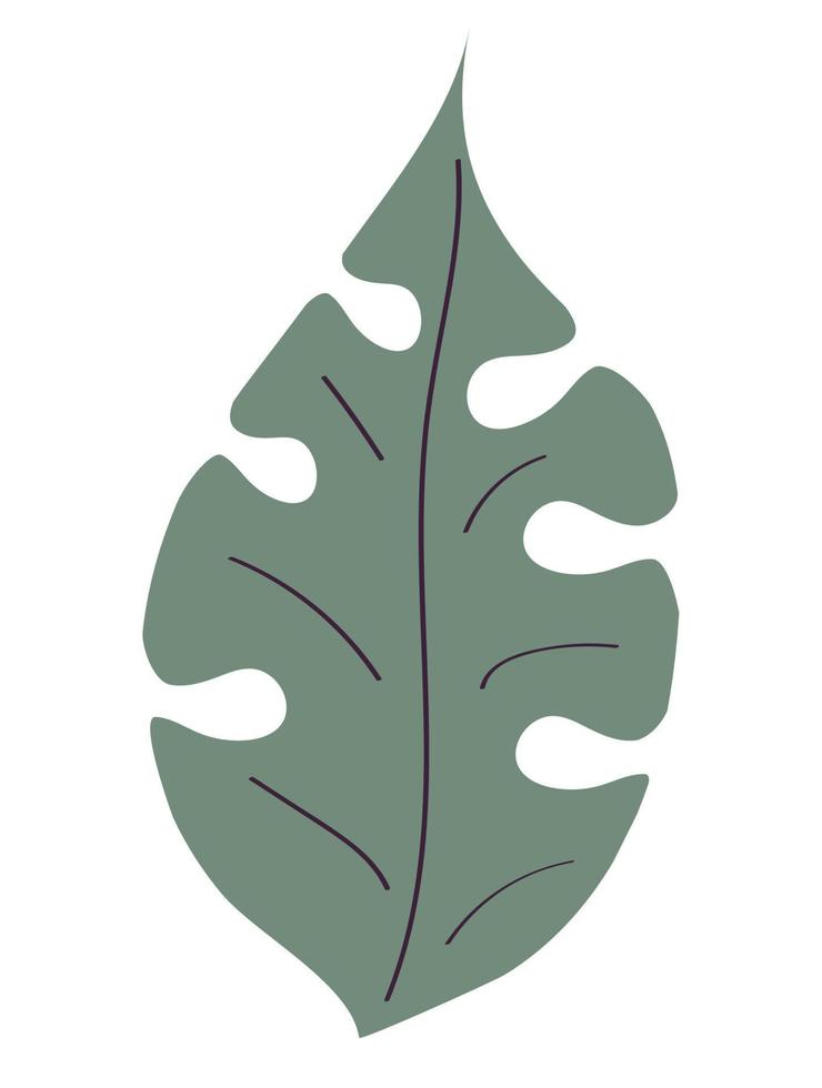 leaf plant foliage vector