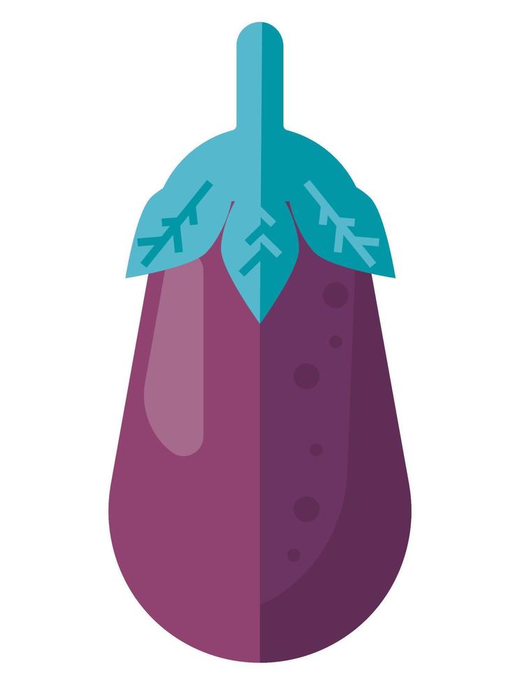 fresh eggplant vegetable vector