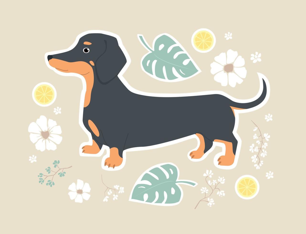 Cute print with dachshund, monstera leaves, flowers and lemons. Vector illustration for children.