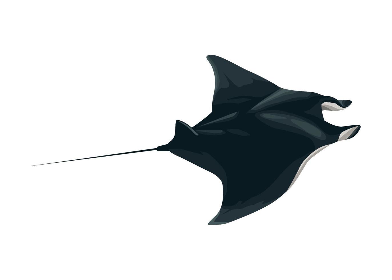 mantarraya vida marina animal vector