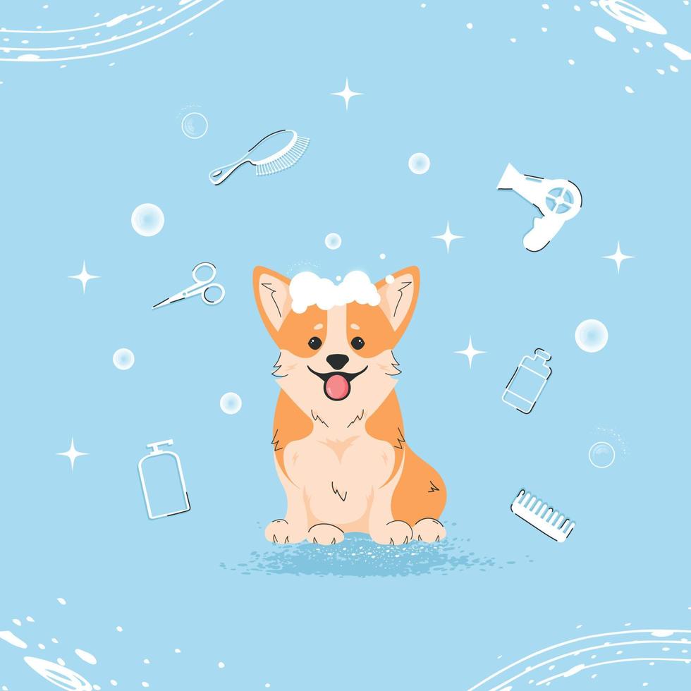 Cute corgi dog with bubbles in flat style. Pet grooming illustration for content, label, banner, greeting card. Vector