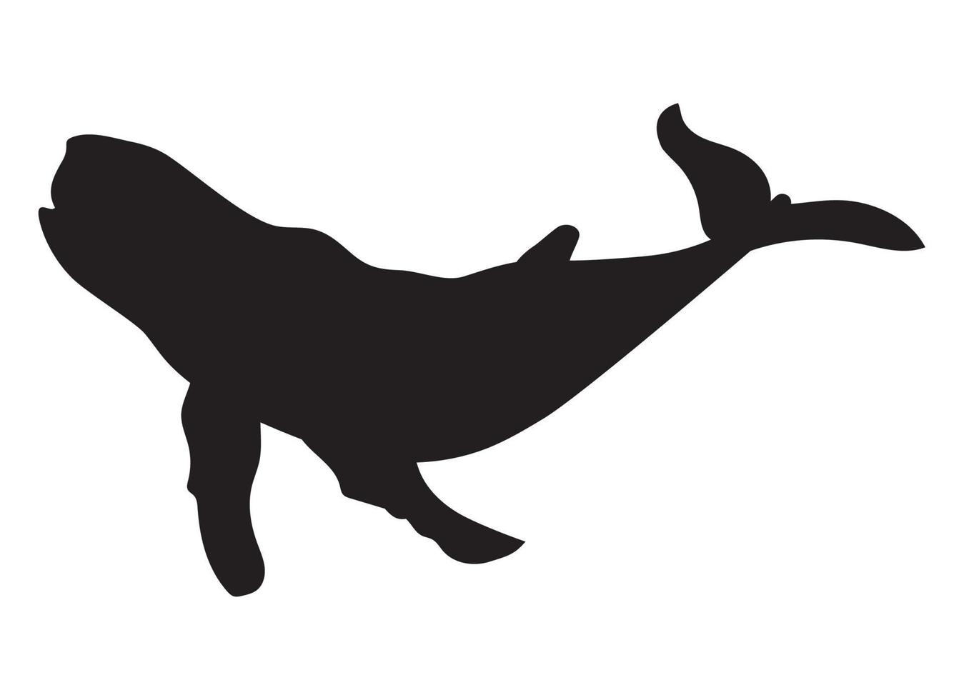 whale sealife animal silhouette vector