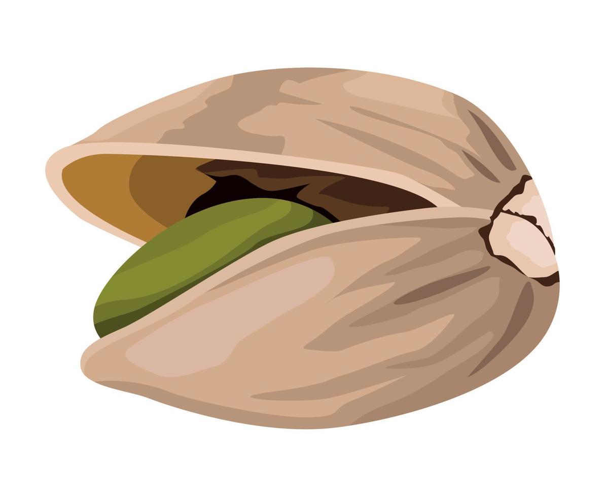 pumpkin seed product vector