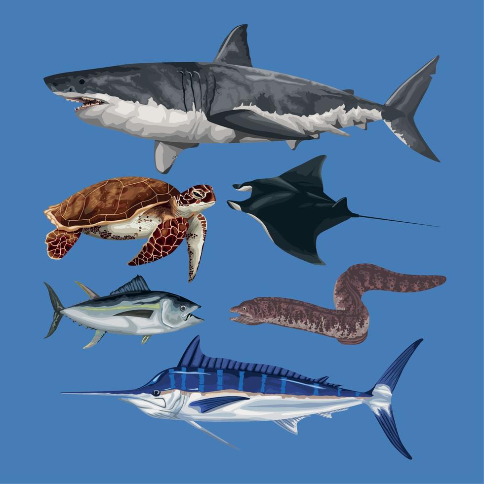 seis animales de la vida marina vector