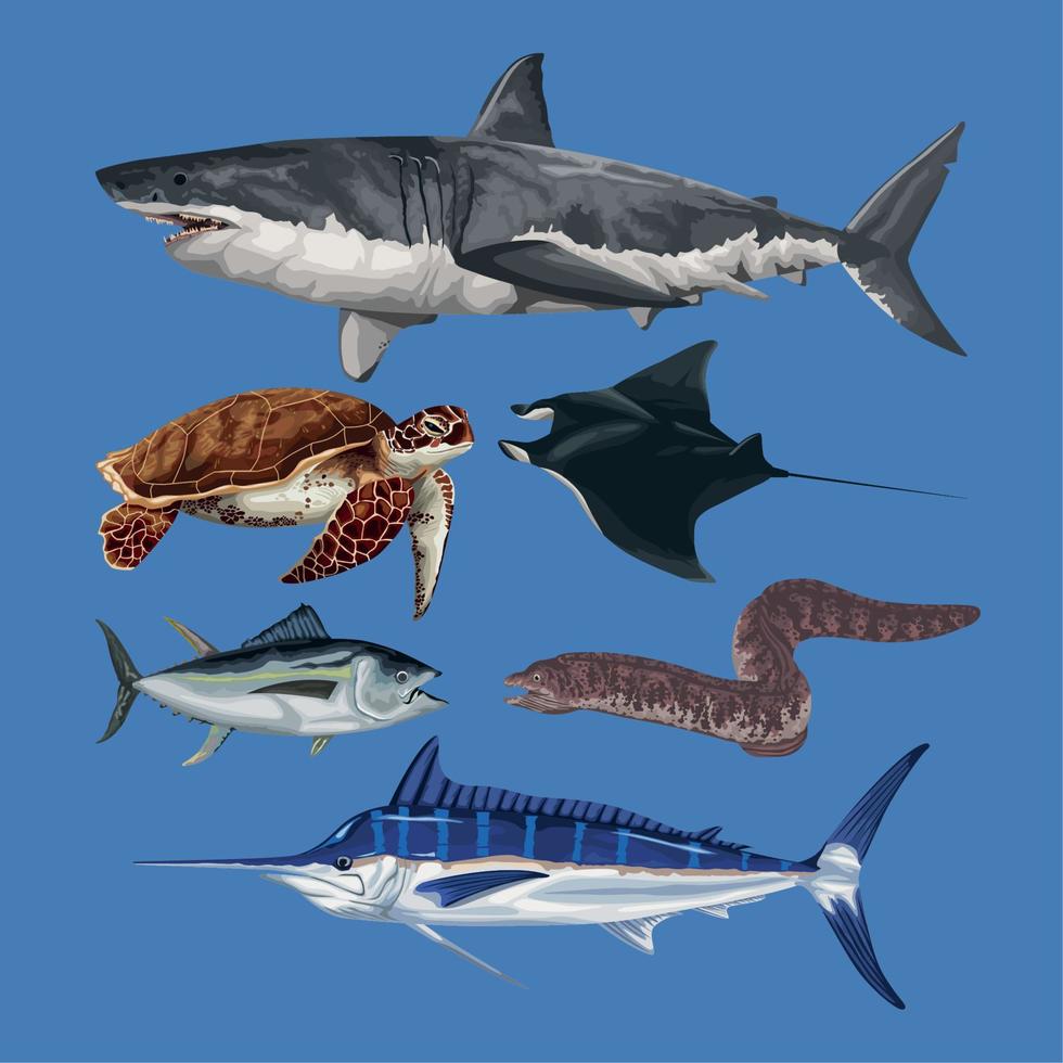 six marine life animals vector