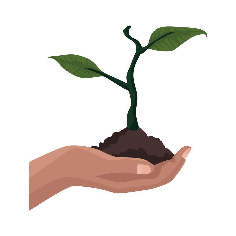 hand lifting plant garden vector