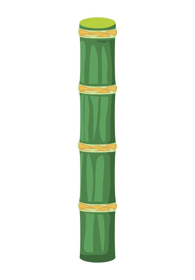 bamboo plant trunk vector