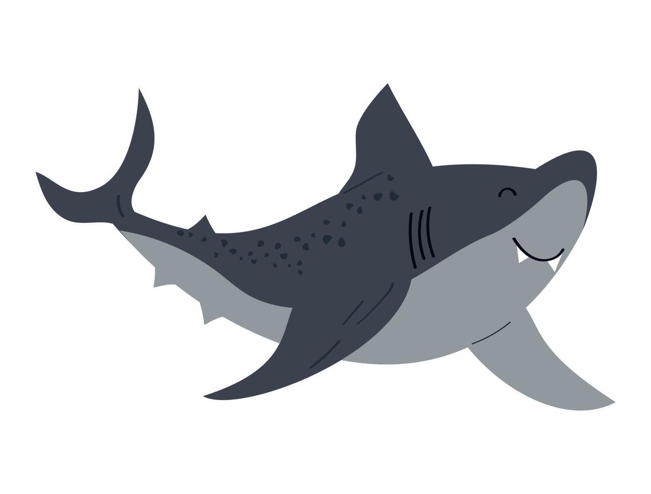 shark sealife animal vector