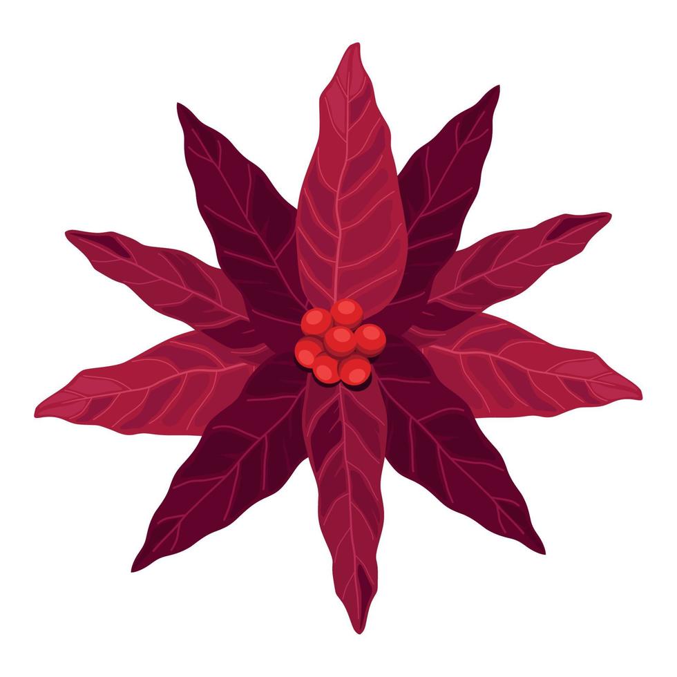 flor roja de navidad vector