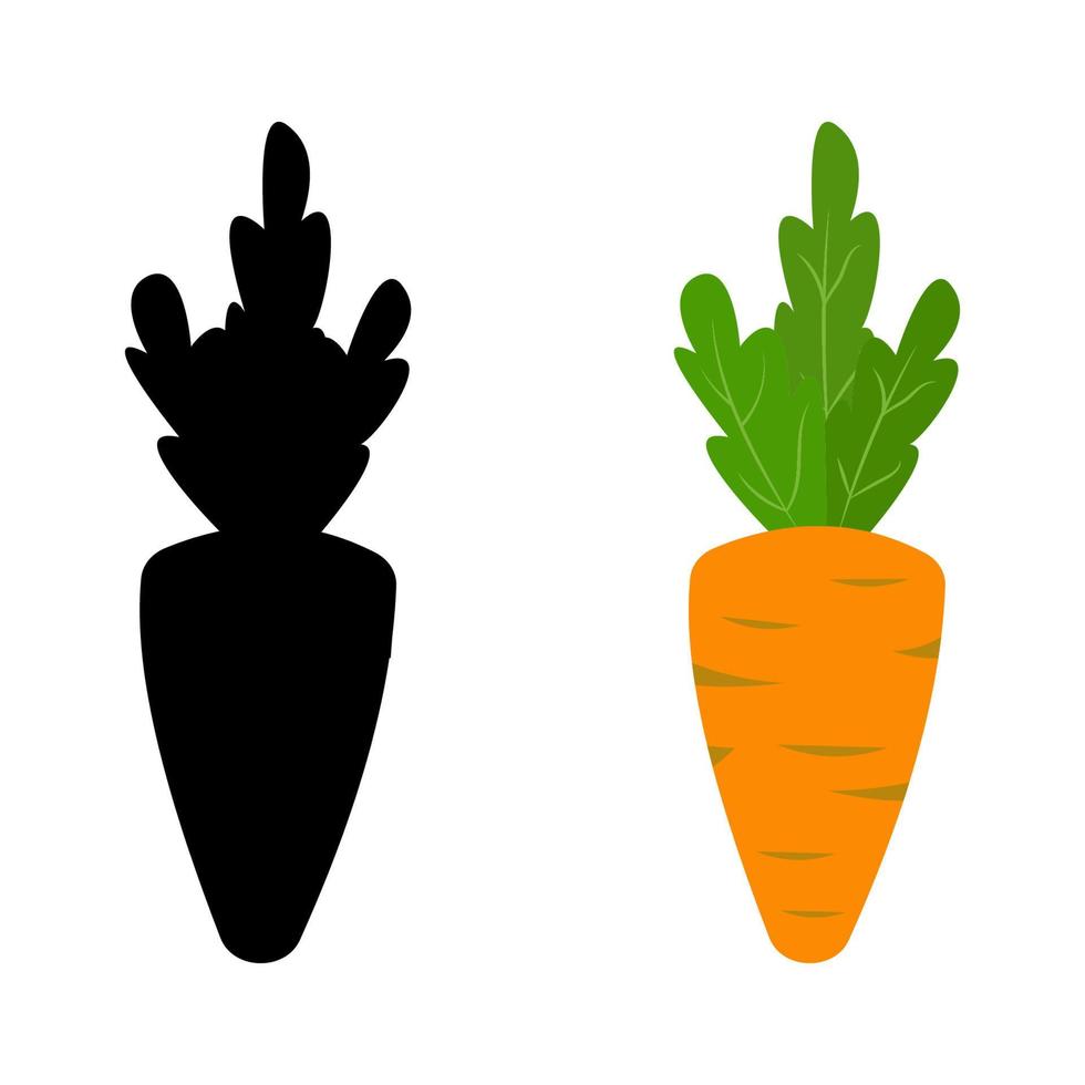 Orange carrot and its black shadow. Flat vector illustration