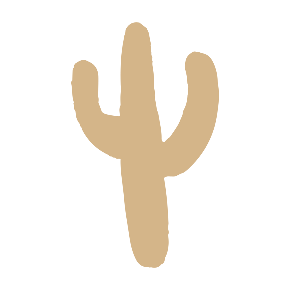 cactus en boho minimalista e ilustración dibujada a mano vintage para elemento de diseño. png