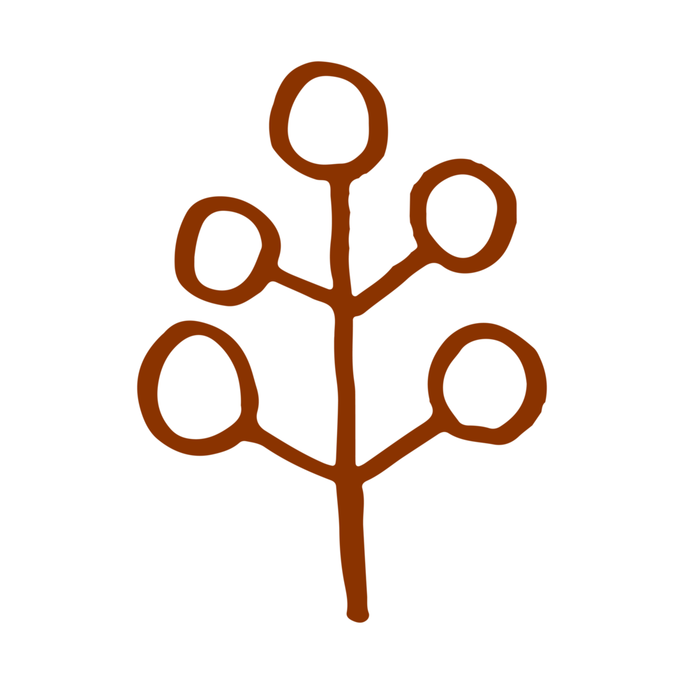 blad i minimalistisk boho och årgång hand dragen illustration för design element. png