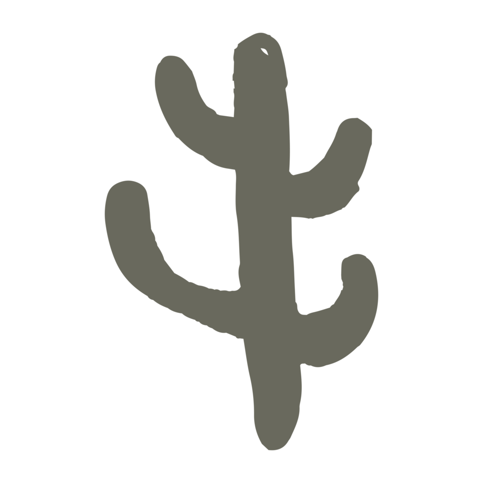 cactus in minimalist boho and vintage hand drawn illustration for design element. png