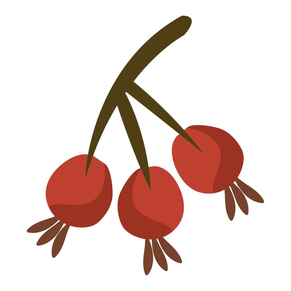 branch with seeds autumn vector