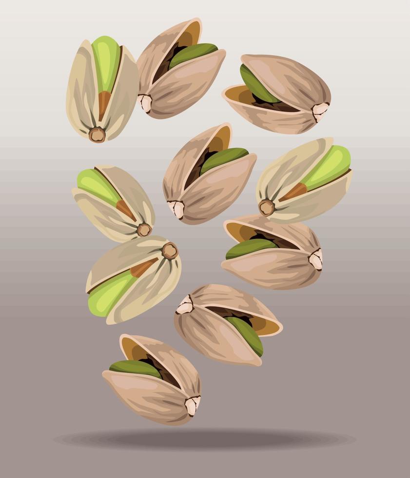 pistachio seeds product vector