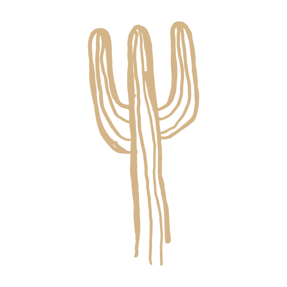 cacto em boho minimalista e ilustração desenhada à mão vintage para elemento de design. png