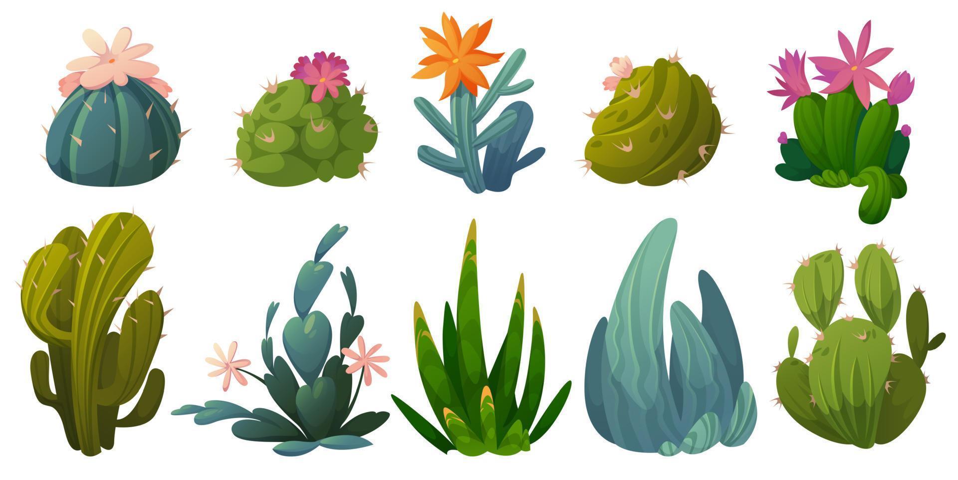 Cute cactuses, succulents and desert plants vector