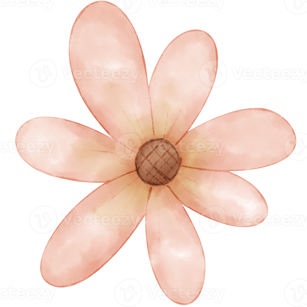 watercolor boho flower png