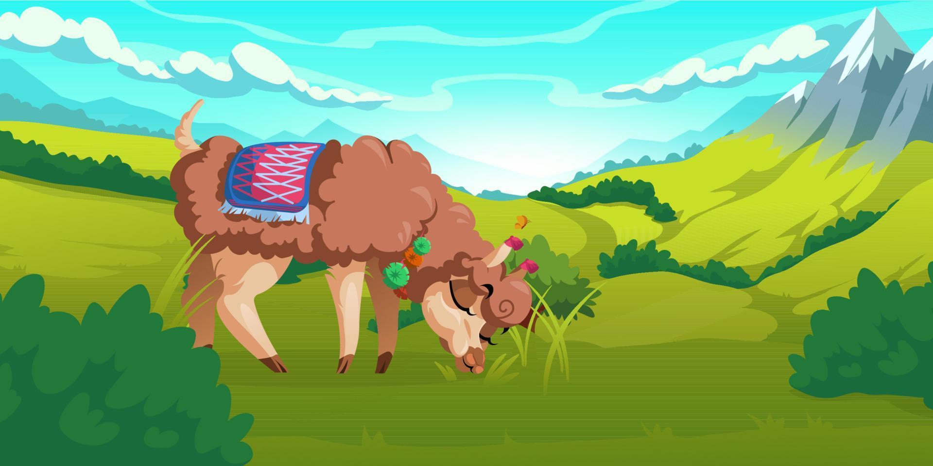 Cute alpaca grazes on meadows in mountains vector