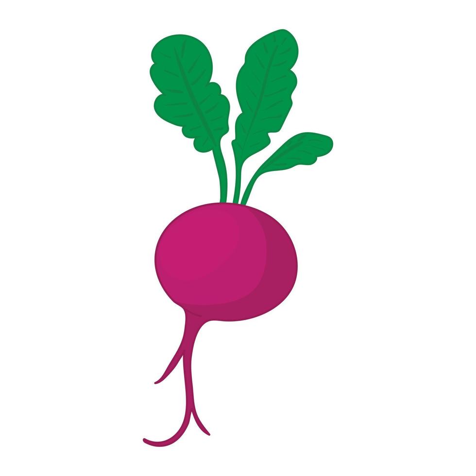 Beet icon in cartoon style vector