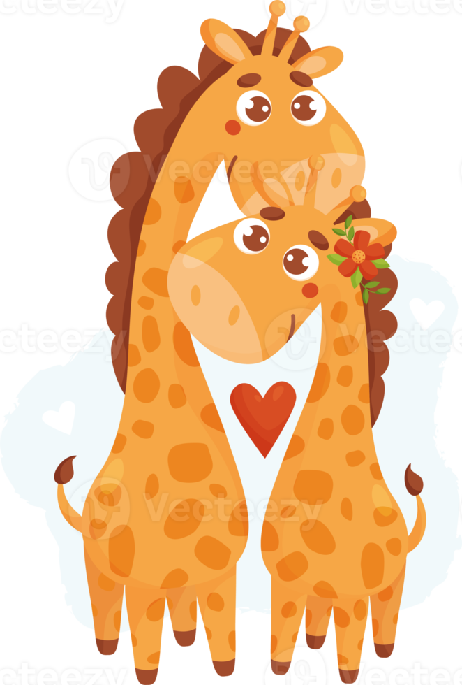 Pair of giraffes in love with a heart png