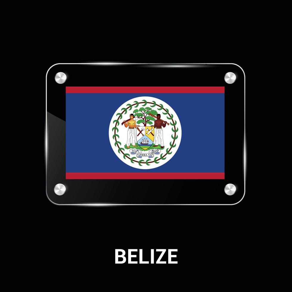 Belize flag design vector