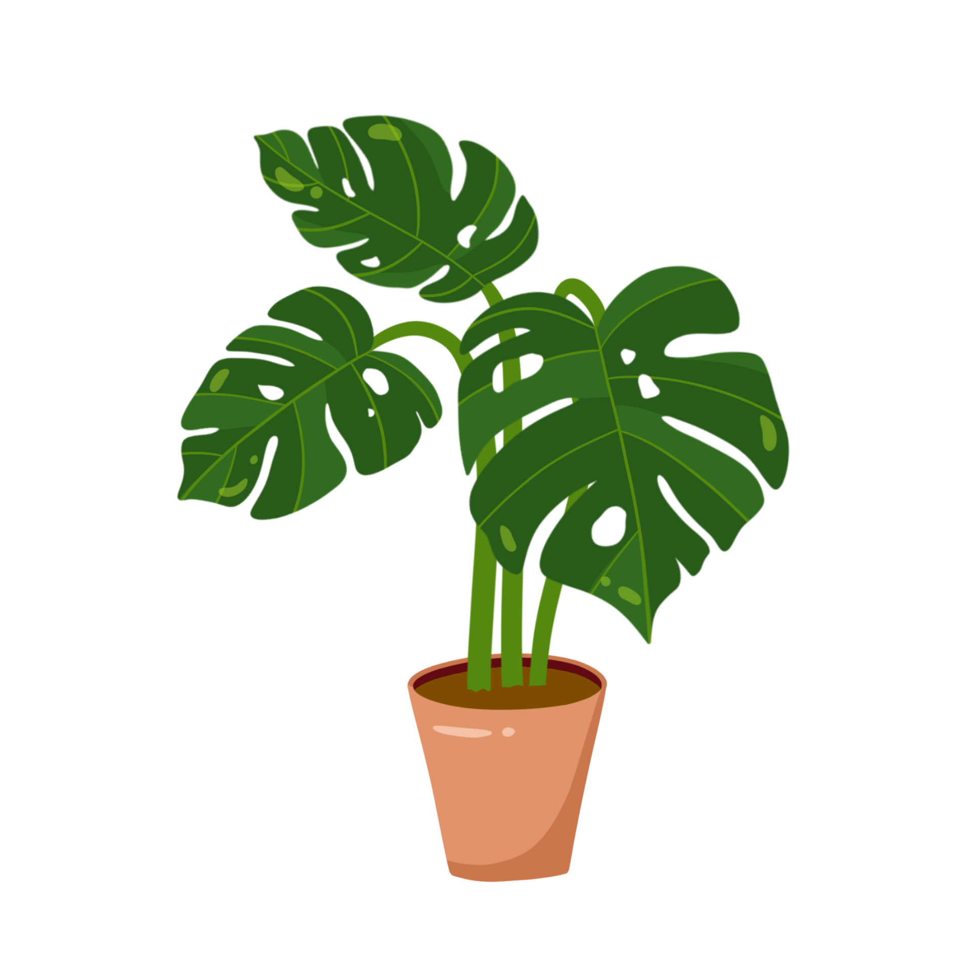 Potted House Plant 14179729 PNG