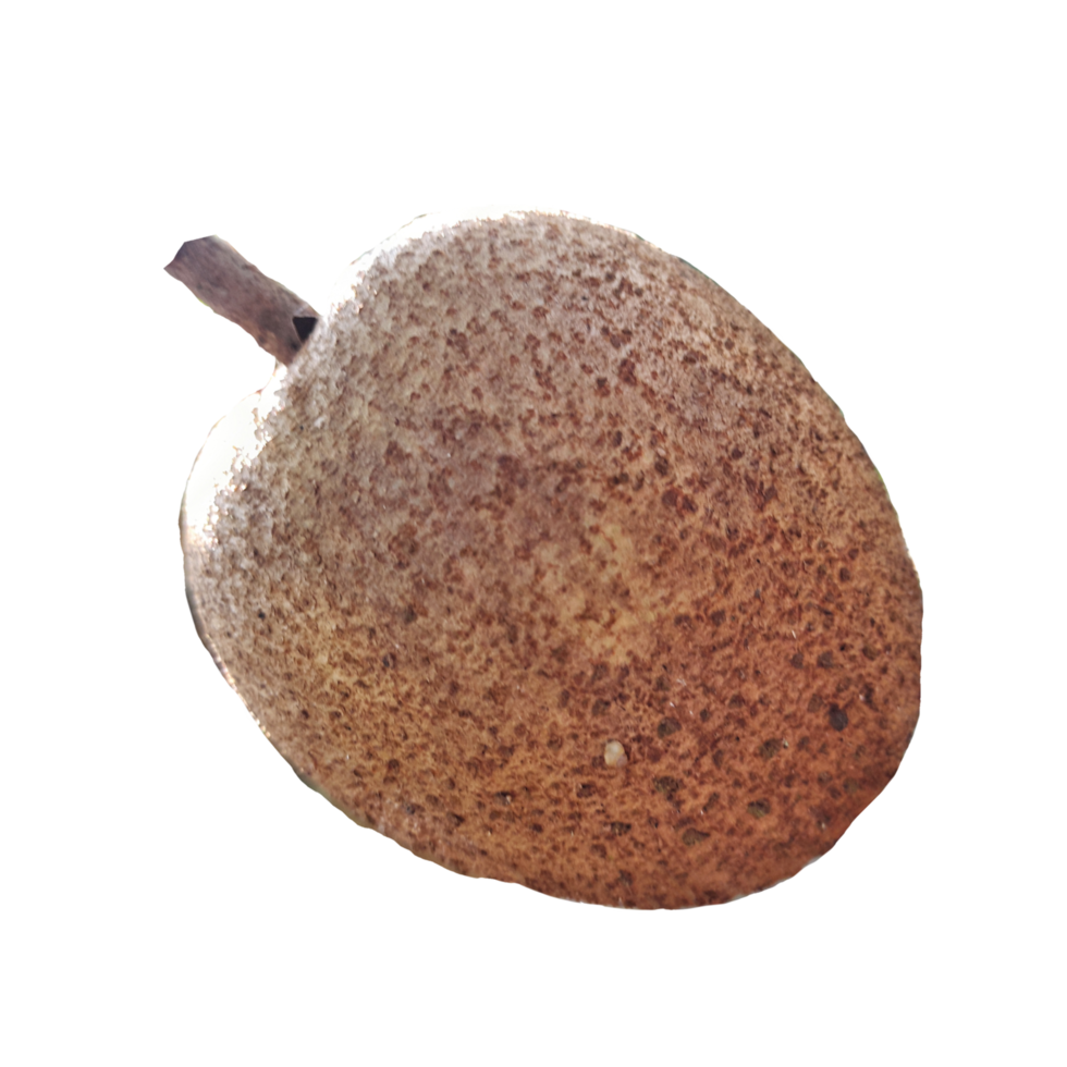 manilkara zapota. Sapodilla-Frucht isoliert. png