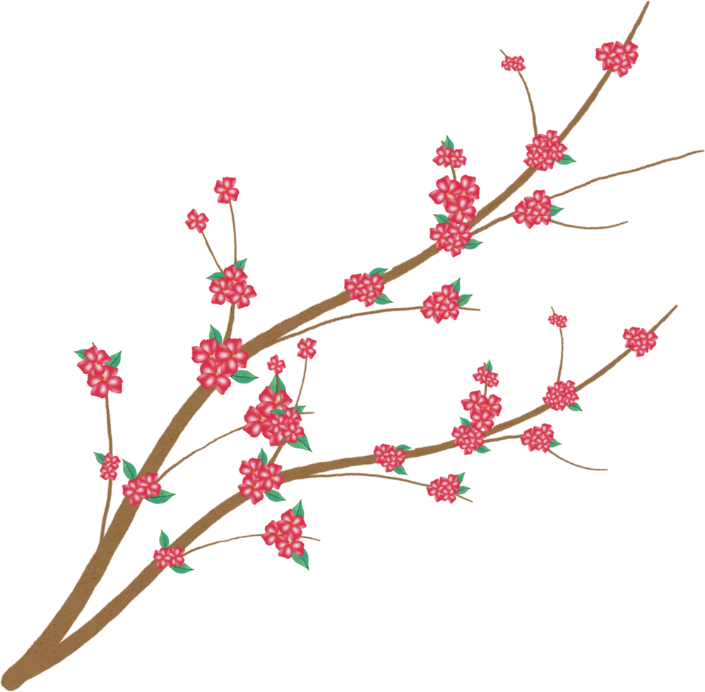 acuarela de flor de sakura png