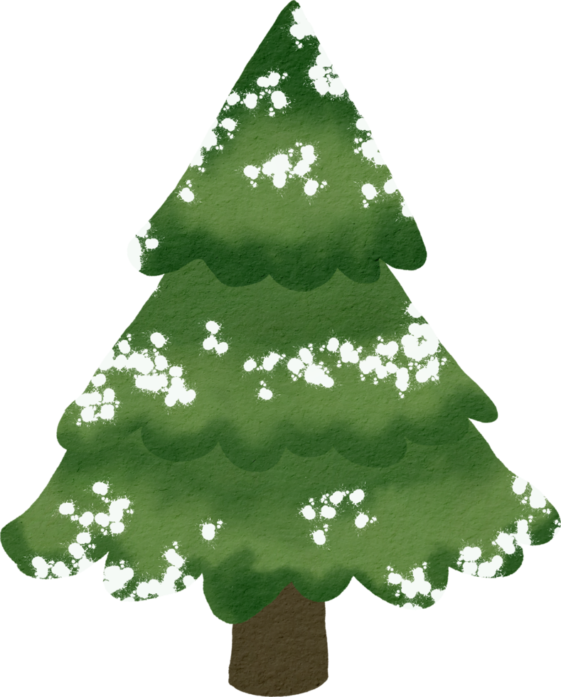 Pine tree watercolor paint png