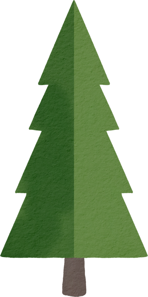 Pine tree watercolor paint png