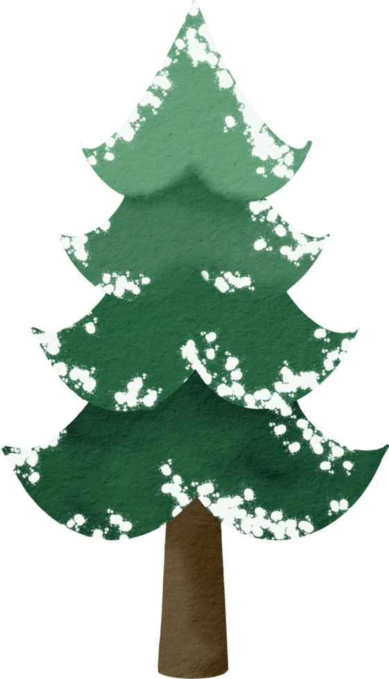 Pine tree watercolor paint png