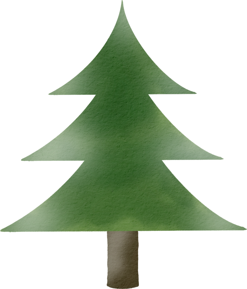 Pine tree watercolor paint png